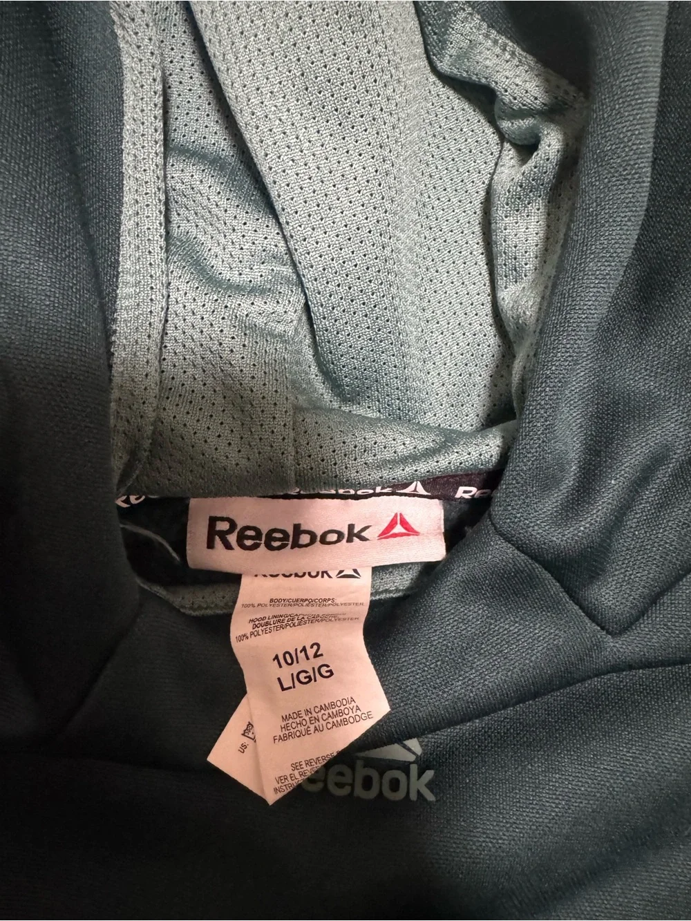 Reebok Kids Teal Hooded Sweatshirt & Joggers Set